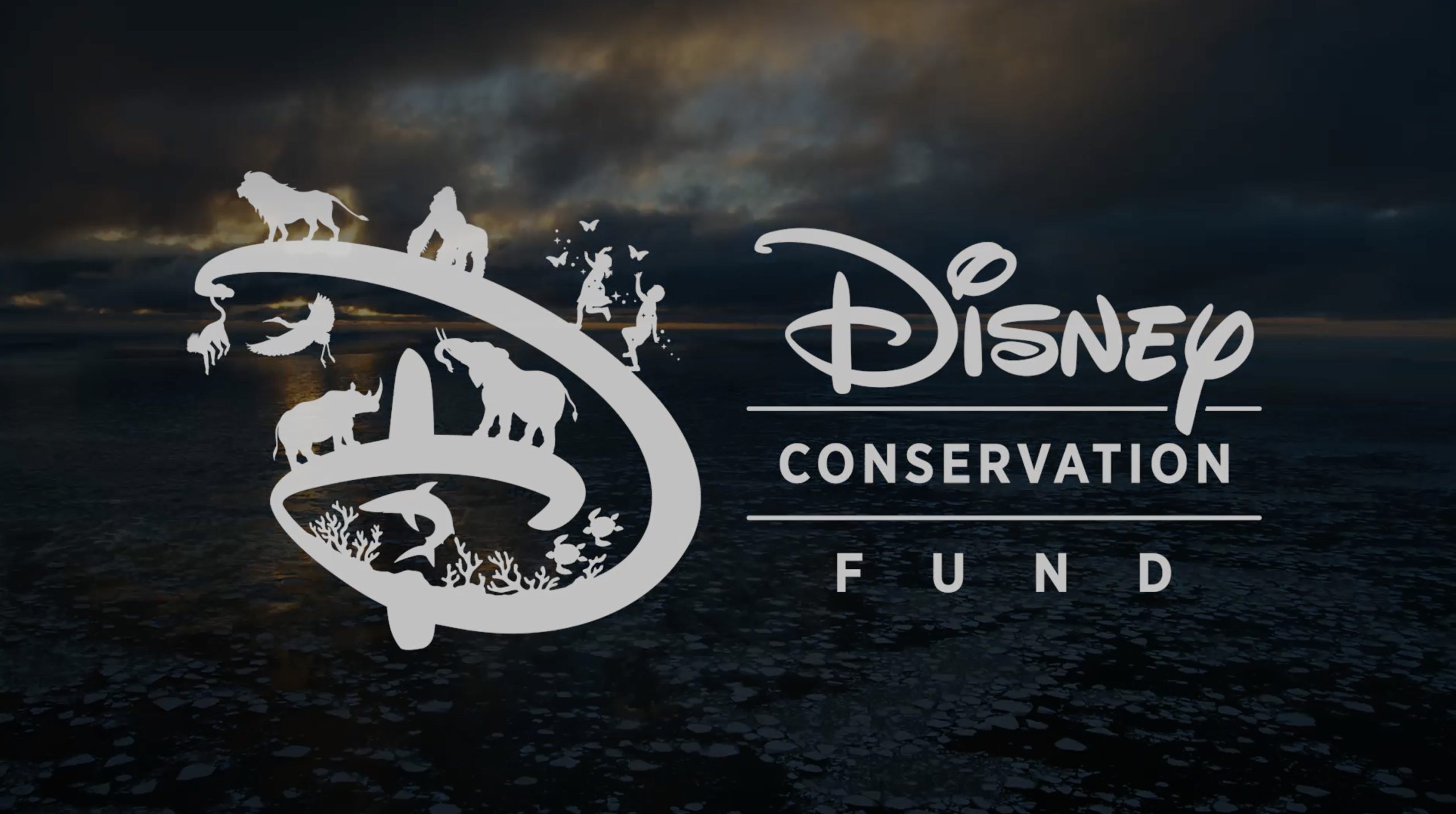 Conservation - Disney Social Responsibility
