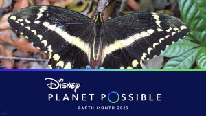 Disney Expands Environmental Commitment By Reducing Plastic Waste