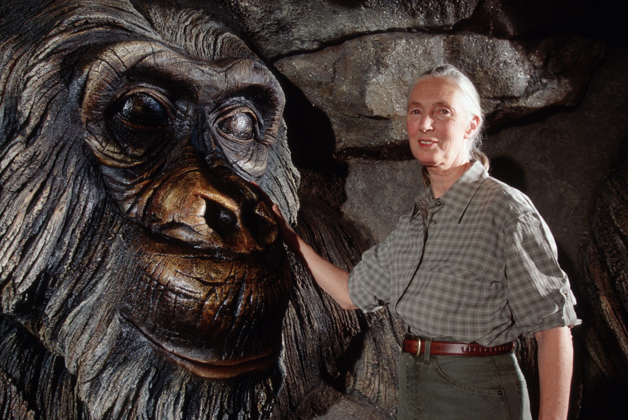 Disney Celebrates Environmental Icon Dr. Jane Goodall's 90th Birthday