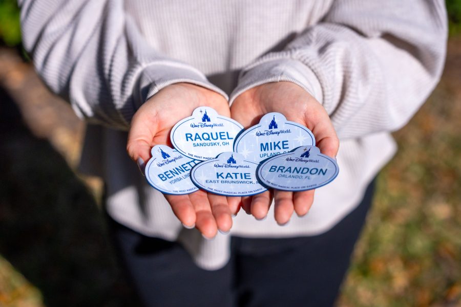 Investing in Our People - Disney Impact
