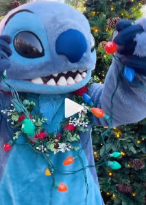 Stitch tangled in Christmas lights
